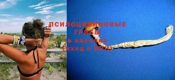синтетический гашиш Гусиноозёрск