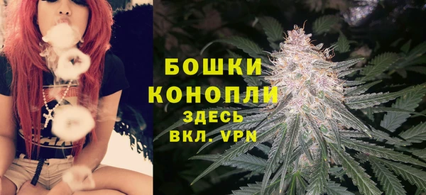 spice Горнозаводск