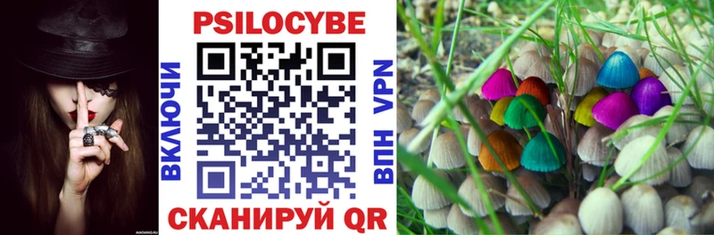 blacksprut зеркало  как найти   Дятьково  Галлюциногенные грибы MAGIC MUSHROOMS 